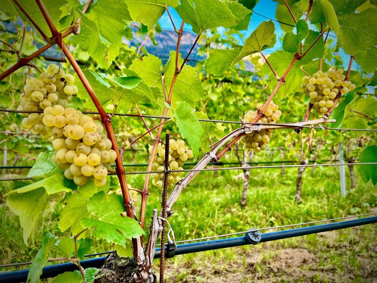 Strahlerhof Apartment Appiano Sulla Strada Del Vino Ngoại thất bức ảnh