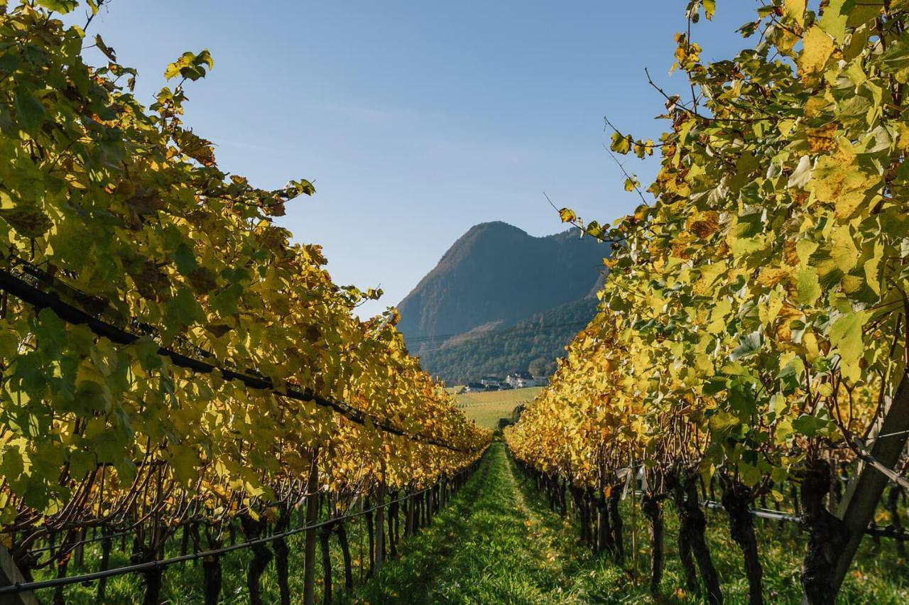 Strahlerhof Apartment Appiano Sulla Strada Del Vino Ngoại thất bức ảnh