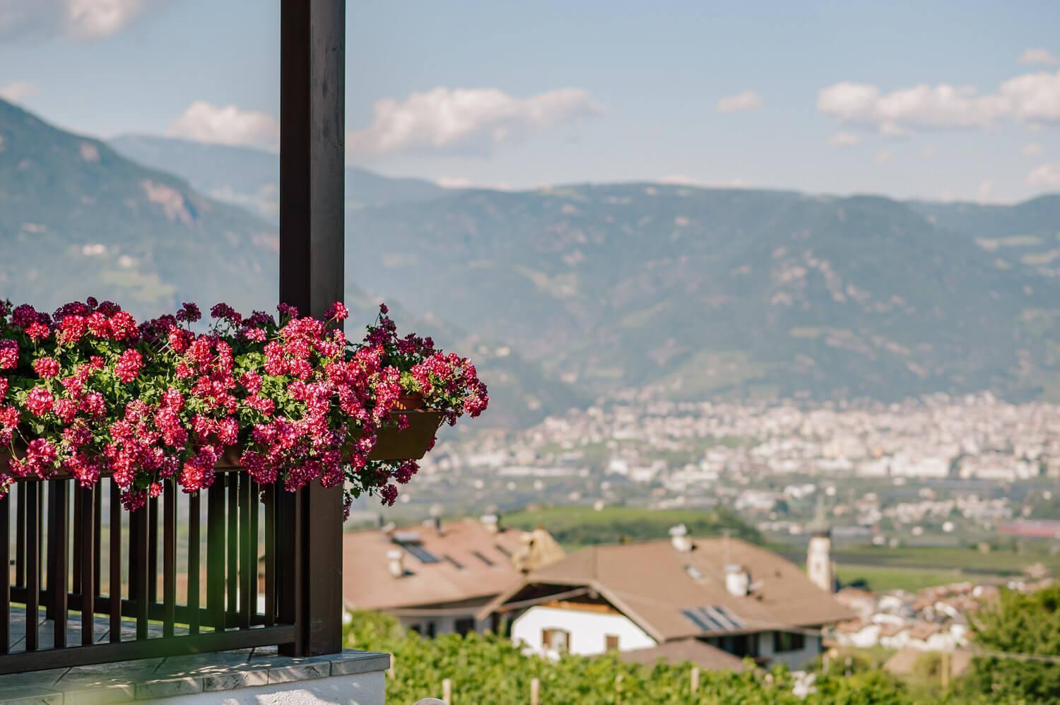 Strahlerhof Apartment Appiano Sulla Strada Del Vino Ngoại thất bức ảnh