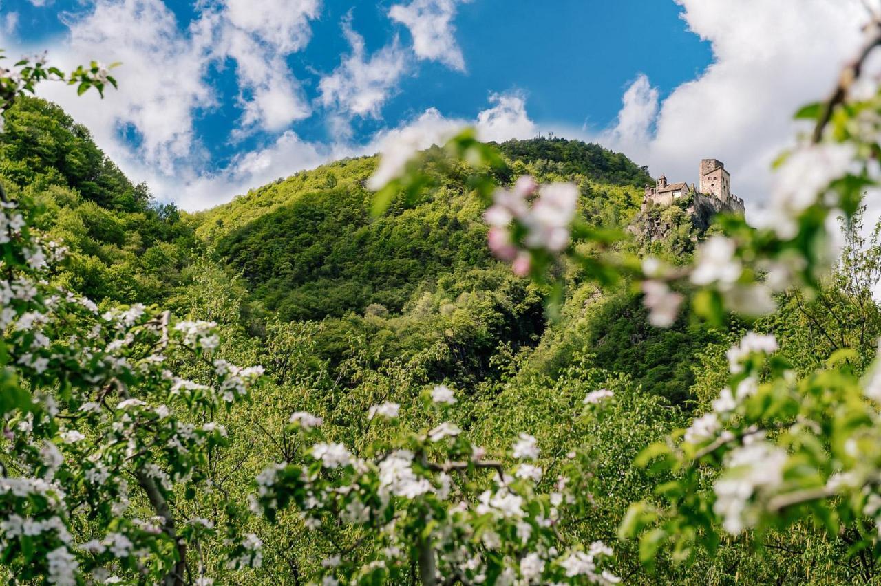 Strahlerhof Apartment Appiano Sulla Strada Del Vino Ngoại thất bức ảnh